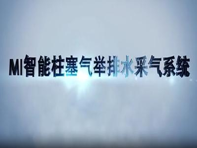 MI智能柱塞气举排水采气系统